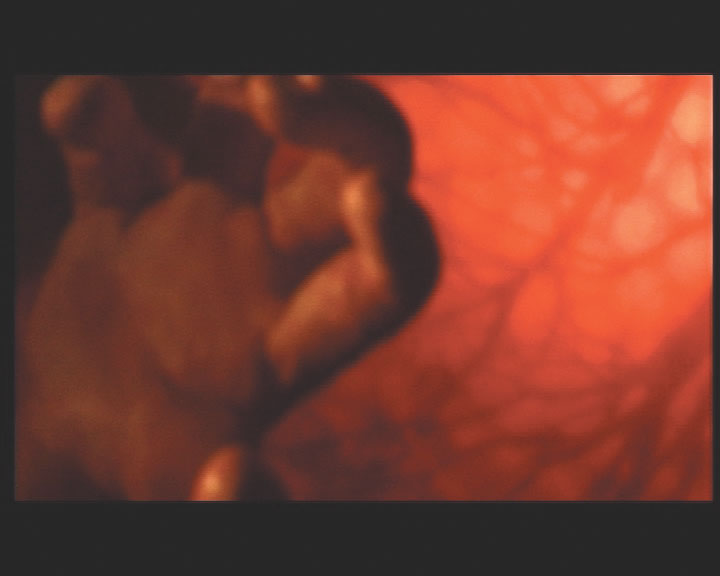 UT!