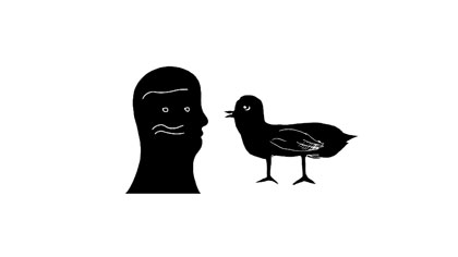 As the Crow Flies