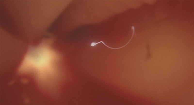 Europride Sperm