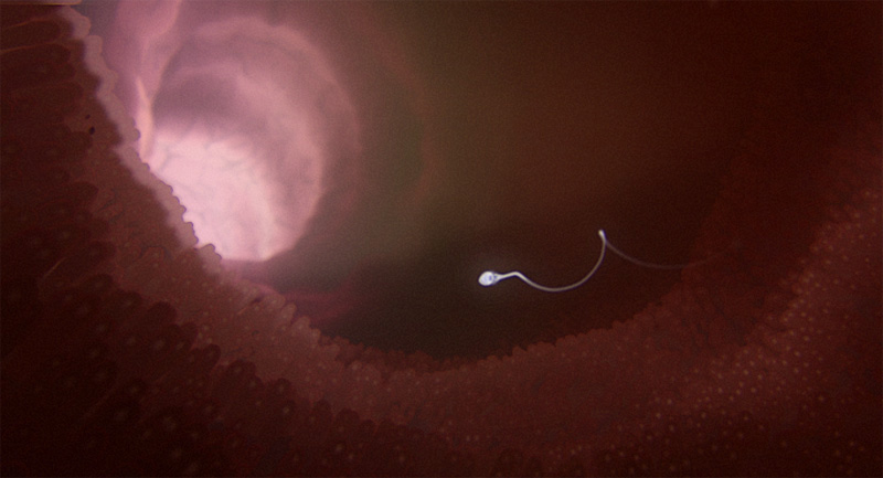 Europride Sperm