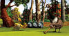 Alpha&Omega_duck_16-9