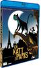 cat_cover