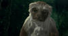 Dinosaur_lemur_16-9