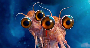 HappyFeet2_krill_16-9