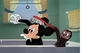 Mickey and the Seal