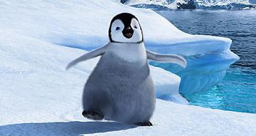 happyfeet