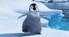happyfeet