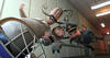 Kurt_chase_16-9