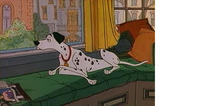 101Dalmations_Pingo_16-9