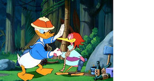 Walt Disney Treasures - The Chonological Donald vol 3
