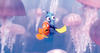 «Oppdrag Nemo» 