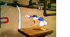 Donald and Pluto (1936)