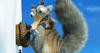 istid2_scrat_16-9