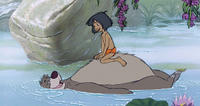 Baloo og Mowgli