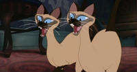 Lady&Landstrykeren_siamese_16-9