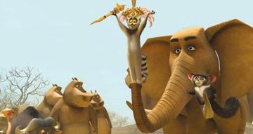 Madagaskar2_julian