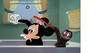 "Mickey and the Seal"