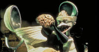 NightmareBC_brain_16-9