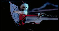 NightmareBC_jack_16-9