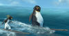 SurfsUp_Z_16-9
