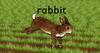 Run Wrake
