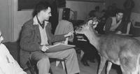 FrankThomas_bambi_dådyr_16-9