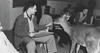 FrankThomas_bambi_dådyr_16-9