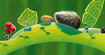 A Bug's Life