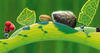 A Bug's Life