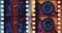 "Linear Dreams"