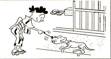 «Sazae-san» 