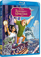 NotreDame_BD_cover