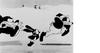 Oswald_fight_16-9