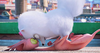 Pets_duo_16-9