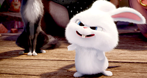 Pets_Fandango_16-9