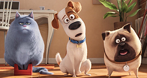 Pets_trio_16-9