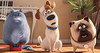Pets_trio_16-9