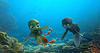 SammysSecretPassage_Sammy_16-9